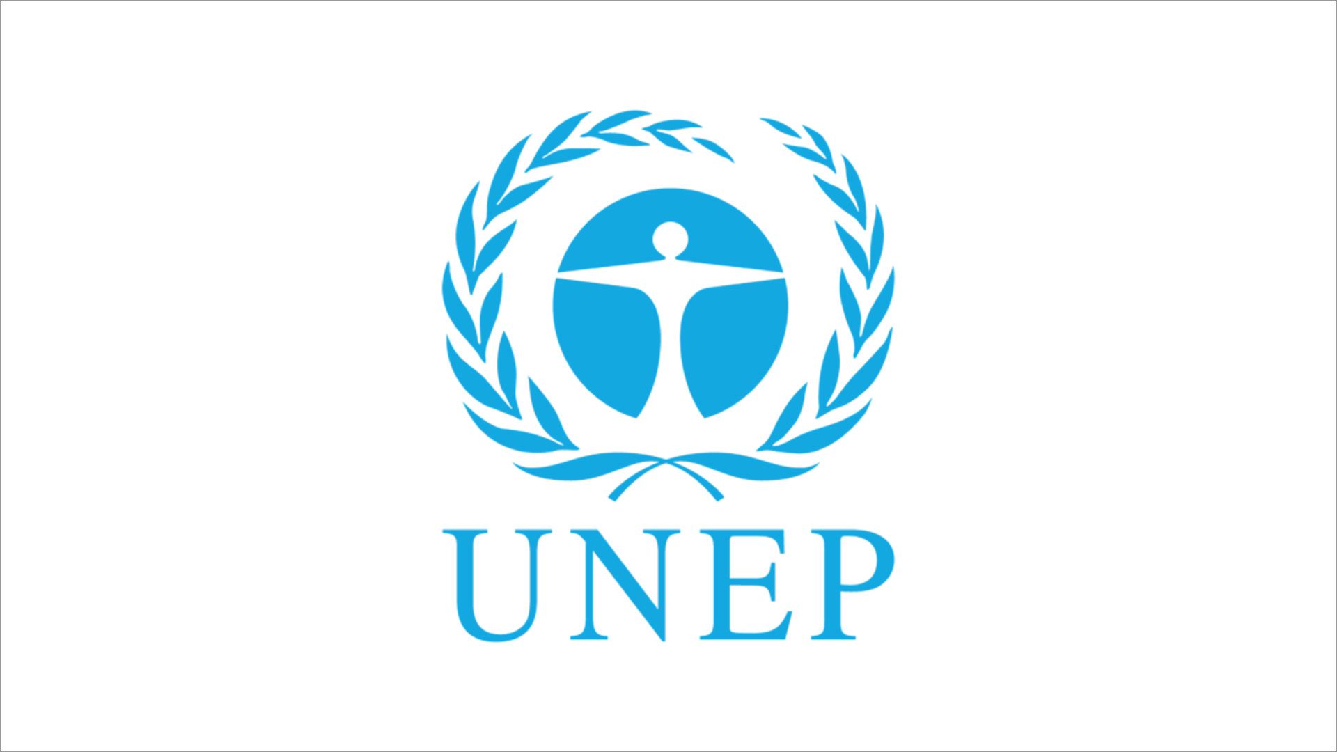 UNEP (UN Environment Programme)